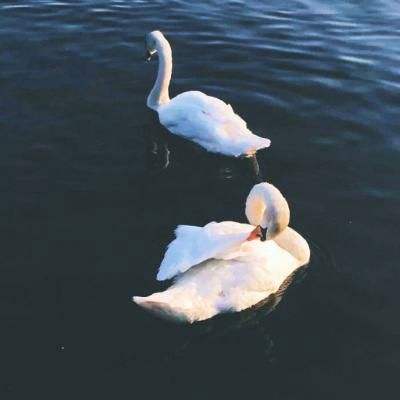 开元ky7818老版本手机app下载截图